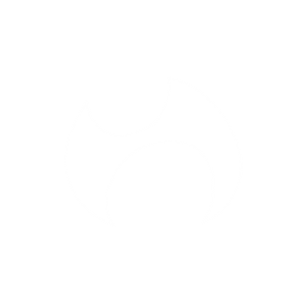 Aïev®